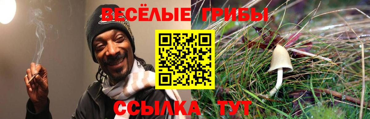Нерюнгри  Псилоцибиновые грибы MAGIC MUSHROOMS  Псилоцибиновые грибы Cubensis  Вход с VPN 